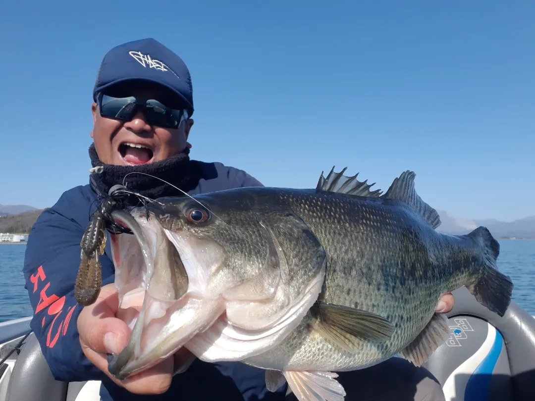 釣り　ツアー　ジグ 琵琶湖でGAPジグ | ペリーの早明浦ダム バス釣りガイドサービス